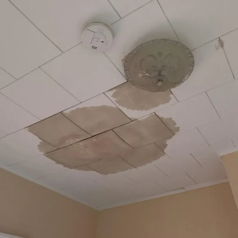 Ceiling Water Damage Repair in Lake Placid, NY
