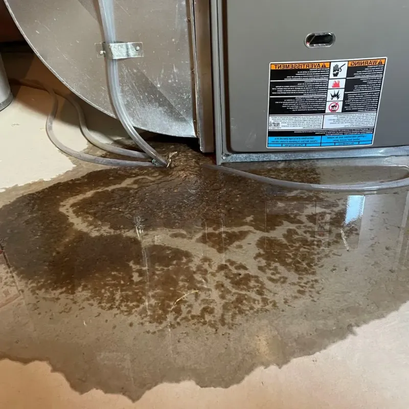 Pipe Burst and Leak Restoration in Lake Placid, NY